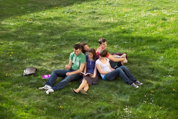 Students studying outdoors